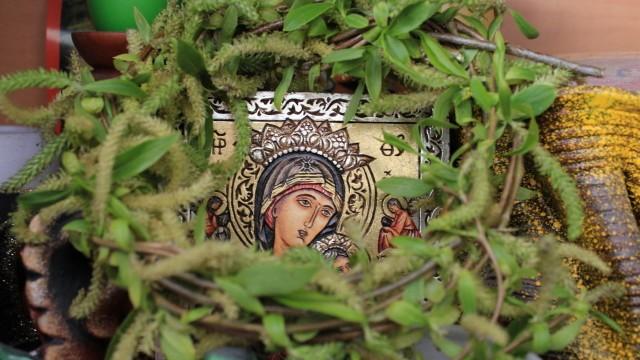 Икона, върба, клонка