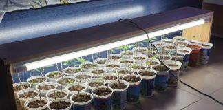 Снимка: МВР