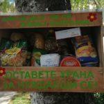 Кутията. Снимка: Фейсбук, Веселка Георгиева