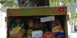 Кутията. Снимка: Фейсбук, Веселка Георгиева