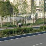 Снимка: Фейсбук, Стоянов Емануил