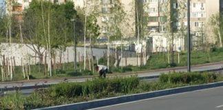 Снимка: Фейсбук, Стоянов Емануил