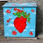 95224884 10216757618668644 1606049251643621376 n