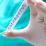 Проба коронавирус