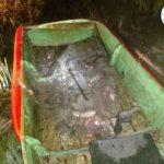 Лодката с мрежите и рибите