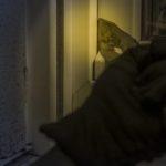 Илюстративна снимка: Пиксабей