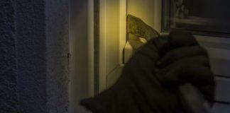 Илюстративна снимка: Пиксабей