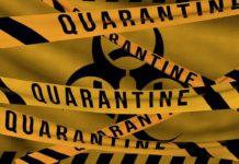 Карантина, коронавирус, Covid-19