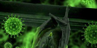 Коронавирус