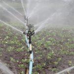 Илюстративна снимка: Пиксабей