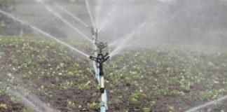 Илюстративна снимка: Пиксабей