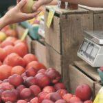 Илюстративна снимка: Пиксабей