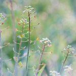 Илюстративна снимка: Пиксабей