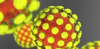 Коронавирус