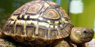 Илюстративна снимка: Пиксабей