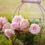 Илюстративна снимка: Пиксабей