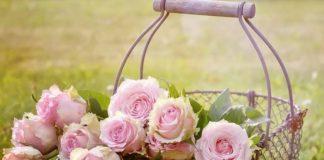 Илюстративна снимка: Пиксабей