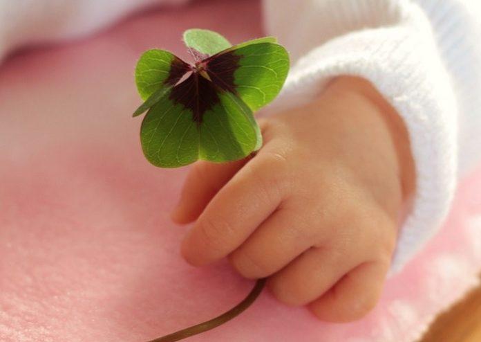 Илюстративна снимка: Пиксабей