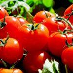 Илюстративна снимка: Пиксабей