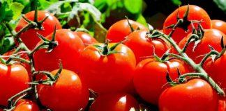 Илюстративна снимка: Пиксабей