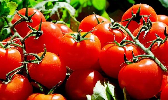 Илюстративна снимка: Пиксабей