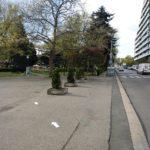 Морска градина