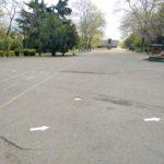 Морска градина