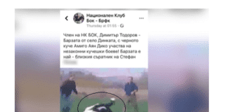 Кучешки боеве