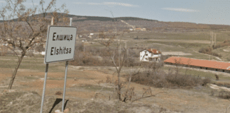 Село Елщица