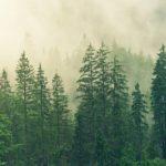 Илюстративна снимка: Пиксабей