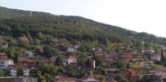 Село Брестовица