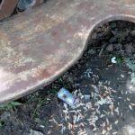 Снимка: Фейсбук, Дани Сарандиева