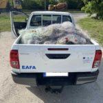 Акция на ИАРА