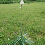 Росен. Снимка: Фейсбук, Yordan Kutsarov