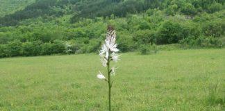 Росен. Снимка: Фейсбук, Yordan Kutsarov