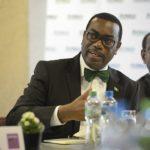 Акинуми Адесина