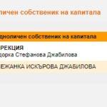 Едноличен собственик на капитала