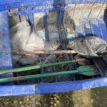 Акция на ИАРА