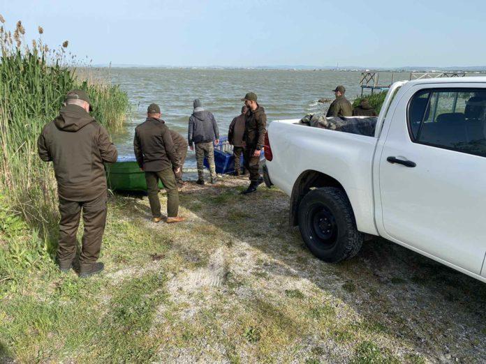 Акция на ИАРА