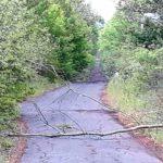 Пътят, преграден с клони