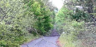 Пътят, преграден с клони