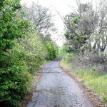 Пътят, преграден с клони