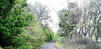 Пътят, преграден с клони