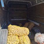 Дядото. Снимка: Фейсбук, Tania Rumenova