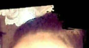 Мелек. Снимка: Фейсбук, Şenay Mehmet Alisa Elisa