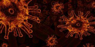 Илюстративна снимка: Пиксабей