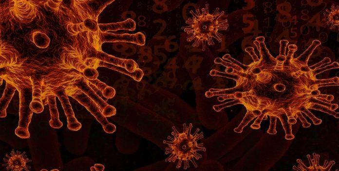 Илюстративна снимка: Пиксабей