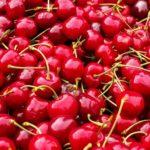 Илюстративна снимка: Пиксабей