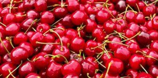 Илюстративна снимка: Пиксабей