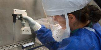 Илюстративна снимка: Пиксабей